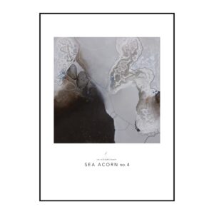 SEA ACORN no. 4 // KUNSTPLAKAT