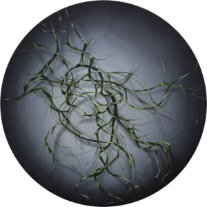 MALERI Ø40 // FLOWERING CONCRETE